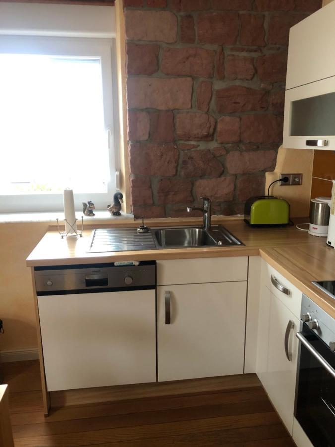 Gemuetliches Apartment Garden View رامشتاين-ميزنباخ المظهر الخارجي الصورة