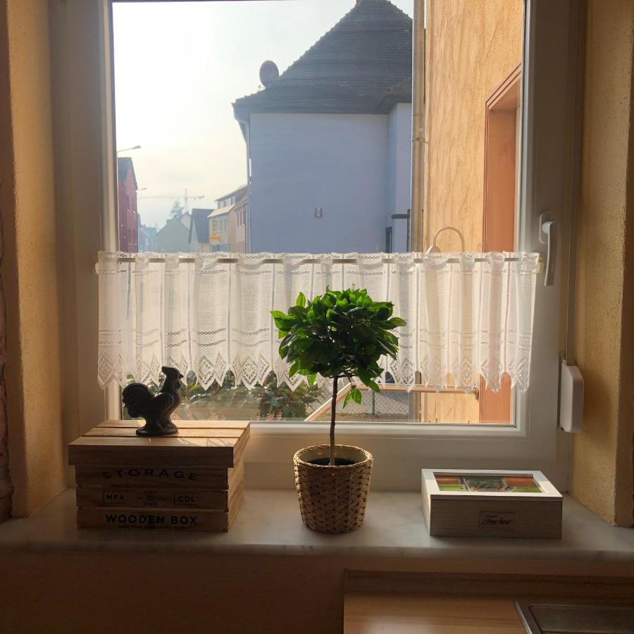 Gemuetliches Apartment Garden View رامشتاين-ميزنباخ المظهر الخارجي الصورة