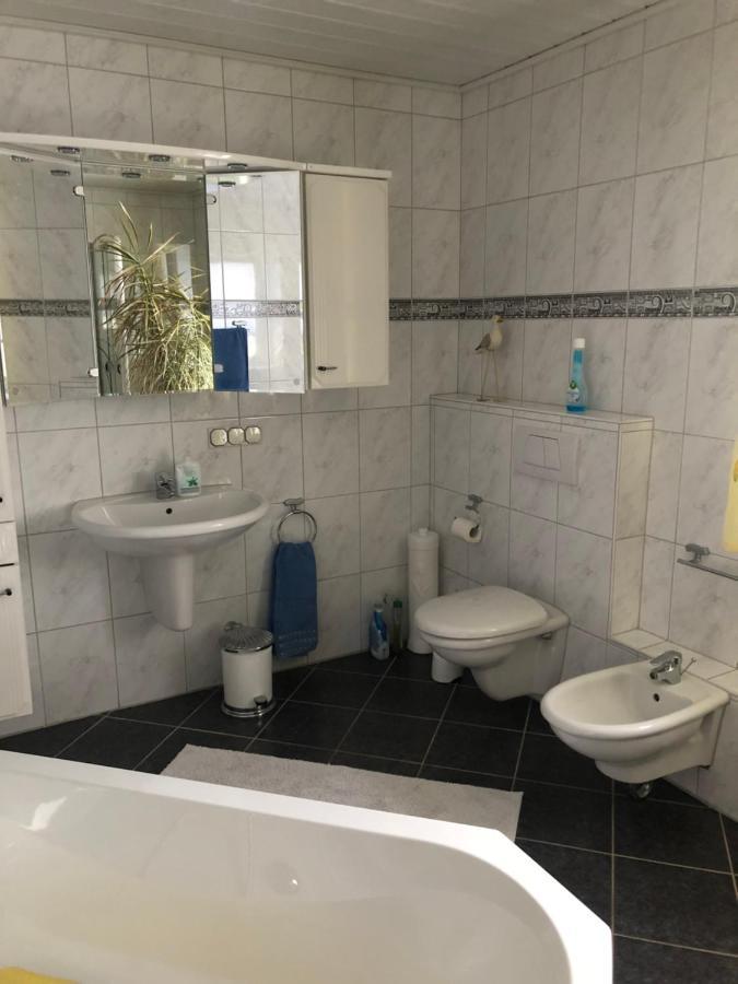 Gemuetliches Apartment Garden View رامشتاين-ميزنباخ المظهر الخارجي الصورة