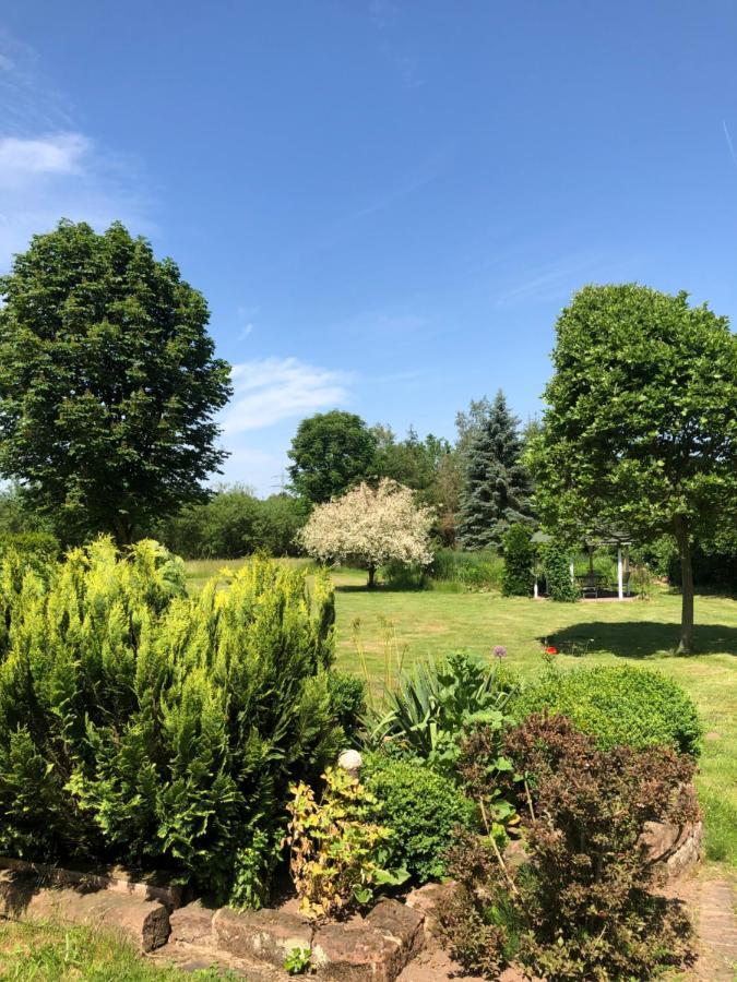 Gemuetliches Apartment Garden View رامشتاين-ميزنباخ المظهر الخارجي الصورة